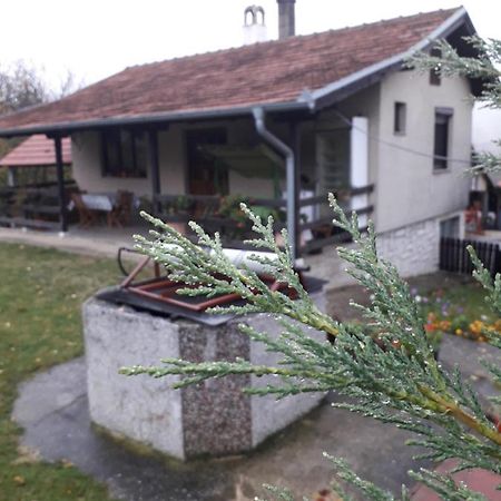 Galerija Jovanovic Topola ภายนอก รูปภาพ